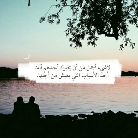 تحميل صور حلوه - صور خلفيات مميزة 2830 14