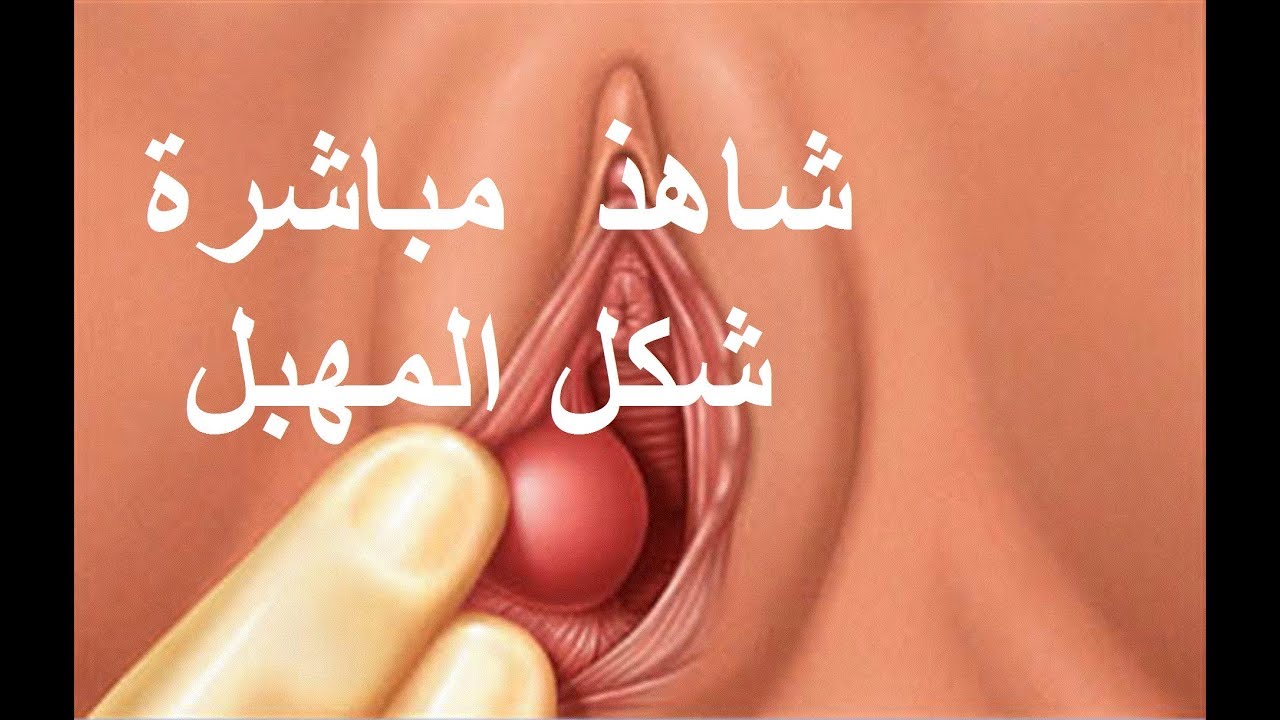 تضييق المهبل بعد الولاده بدون خياطه - وصفات تساعد علي تضييق المهبل 6668