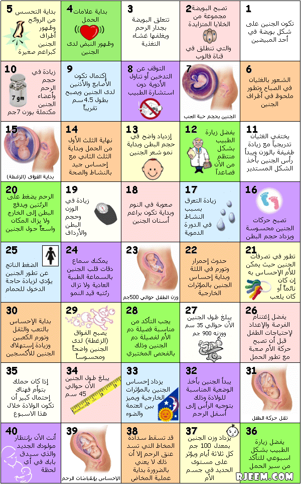 كم اسبوع مدة الحمل الطبيعي - كم اسبوع يستمر مدة الحمل 1211