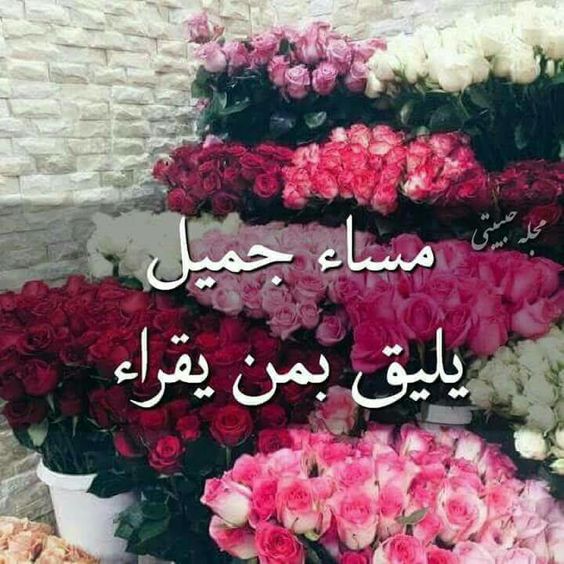 صور صباح و مساء - رمزيات صباحية ومسائية 2721 4