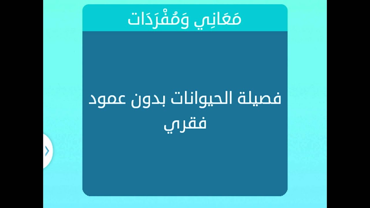 فصيلة من الحيوانات بدون عمود فقري , حل اللغز الذي حير الجميع