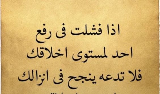 امثال شعبية عن الرزق - الطلب والسعى يجتمعان حتى ينتجان 4580 8