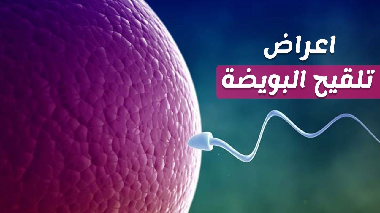 علامات تخصيب البويضة - تعرفى على علامات بداية التخصيب 2799 2