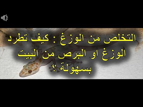 كيفية التخلص من البرص - البرص و كيف يمكن القضاء عليه 506 7