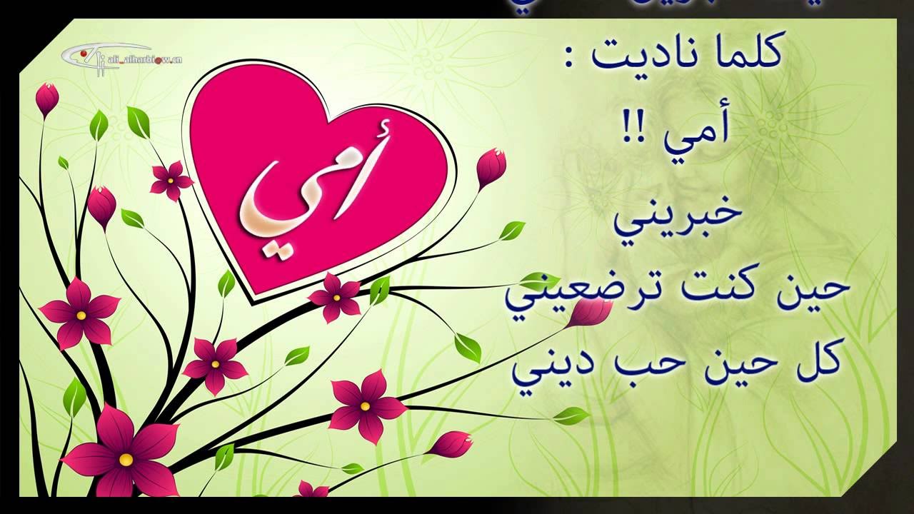 اريد صور جميلة - صور حلوة للفيس بوك 4303 3