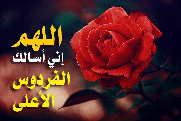 صور تعليقات اسلاميه - تعليقات دينية للفيس بوك 3311 7