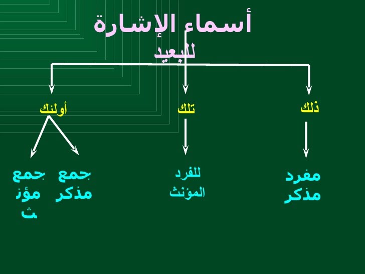 اسماء الاشارة للبعيد - انواع اسماء الاشارة 1397 3