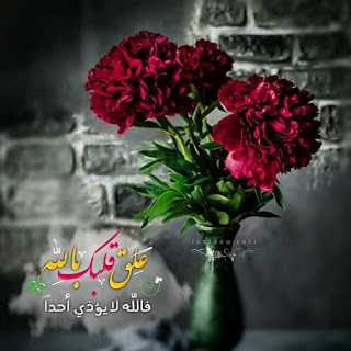 اريد صور جميلة - صور حلوة للفيس بوك 4303 7