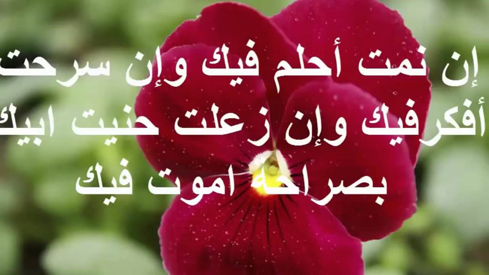 رسائل رومانسية للحبيبة