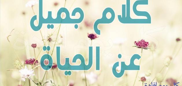 كلمات في الحياه - عبارات عن الحياة 3670 6