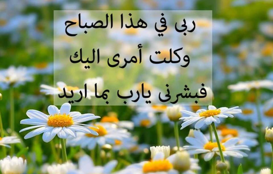 اريد صور جميلة - صور حلوة للفيس بوك 4303 10