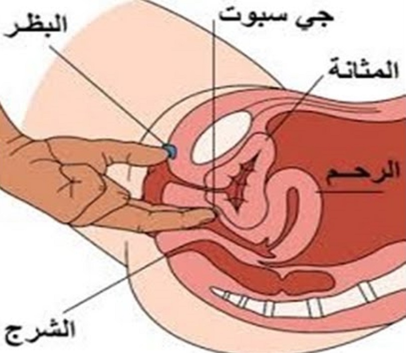 اثارة الزوجة بالاصابع - كيف تثير زوجتك بالاصابع 6872