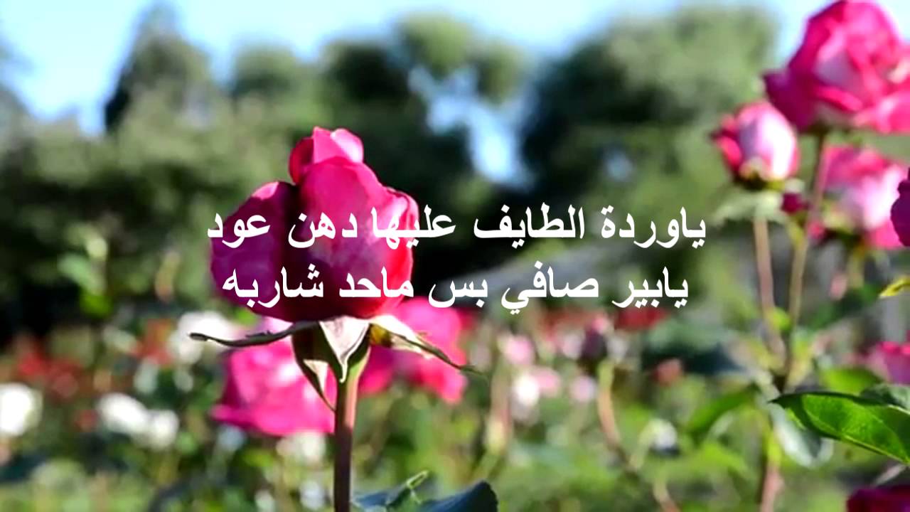 قصيدة عن الربيع - ايجابيات و سلبيات الربيع 2687 11