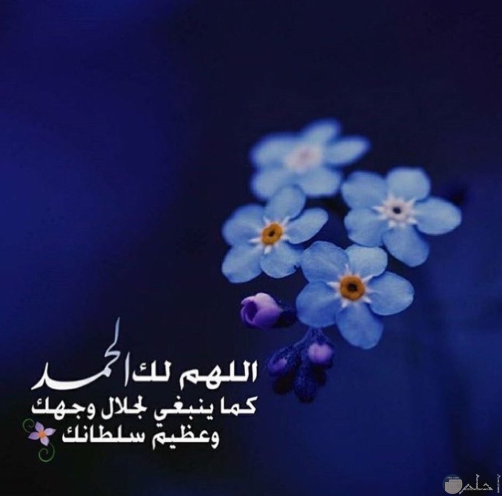 صور جديده دينيه - احلي صور اسلامية 3020 9