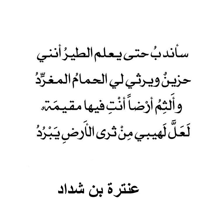 قصيدة عن اللغة العربية - لغتنا الجميلة لا تكفيكي دوايون شعر 529 7