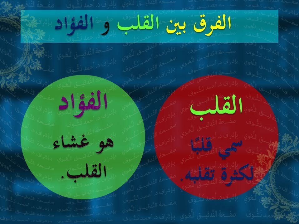 الفرق بين الفؤاد والقلب - الفؤاد يهوى و القلب يعيش 6857 1