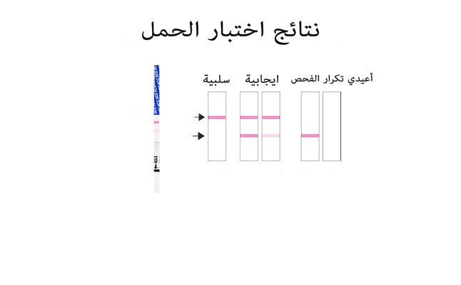 كيفية استعمال اختبار الحمل - طريقة لمعرفة انك حامل ام لا 3905 3