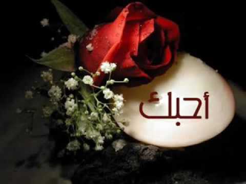 اريد صور جميلة - صور حلوة للفيس بوك 4303 9