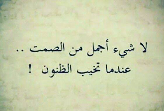 اجمل كلام معبر - أرى فيك جمالا واضحا جعل من لسانى ناطقا 4572 7