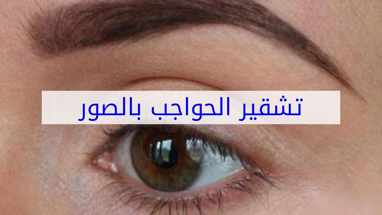 تشقير الحواجب بالصور - طرق تشقير الحواجب بسهولة بالصور 6560 2