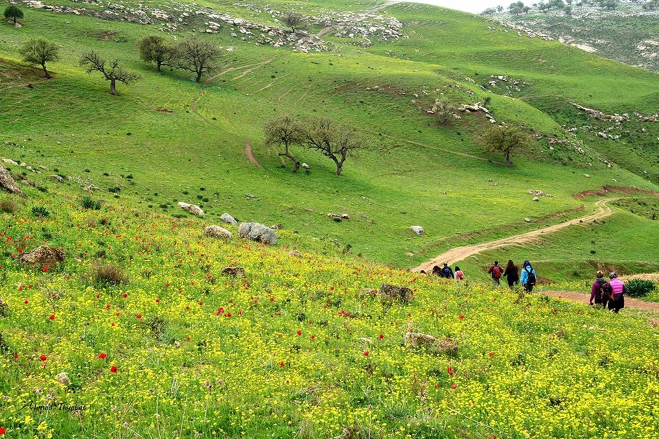 اجمل مناطق الاردن - مناطق اثرية مع سياحة علاجية فى الاردن فقط 2915 11