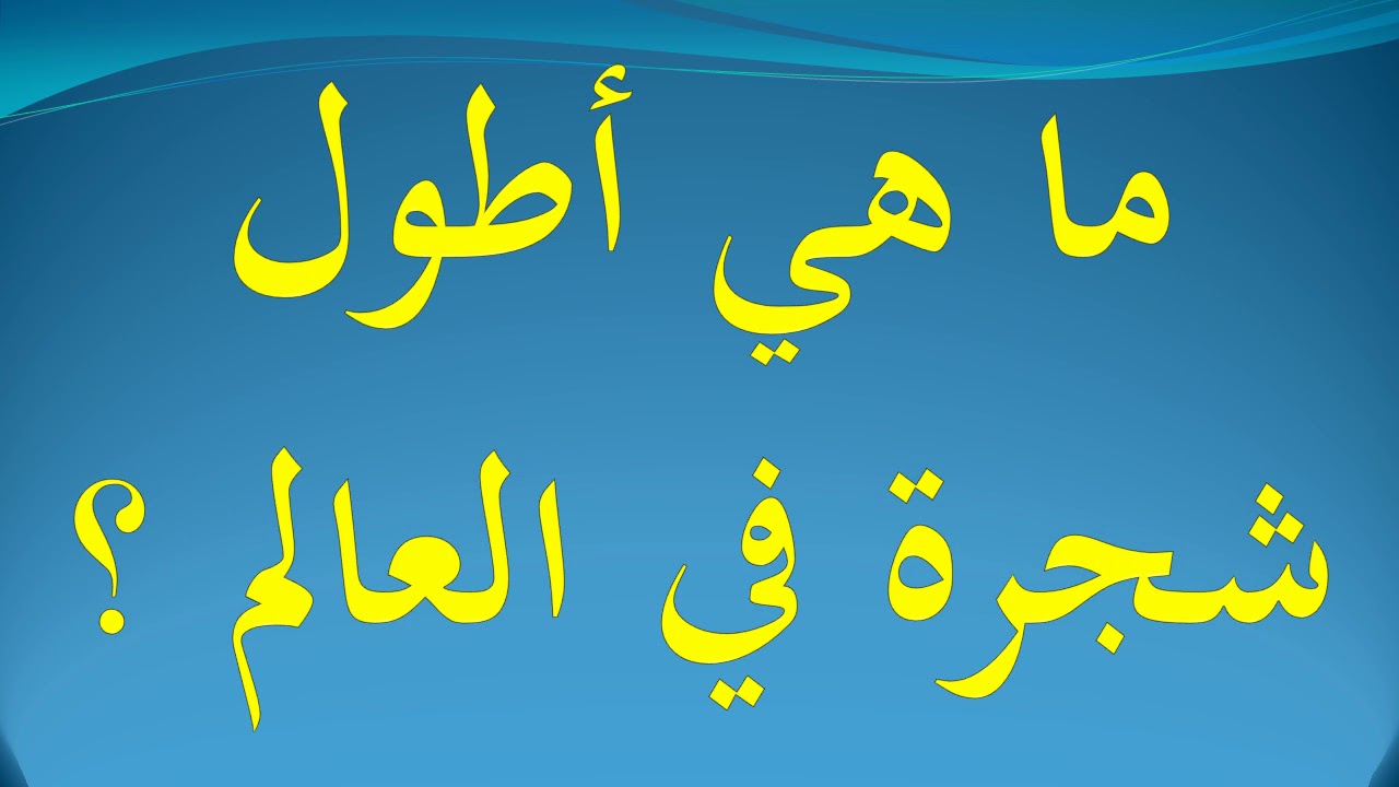 ما الذي تعرفه عن اطول شجرة في العالم ،اين توجد اطول شجرة في العالم 5773 1