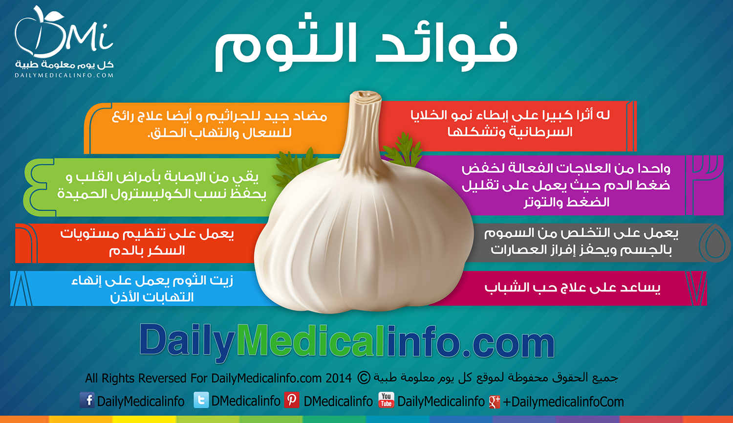 تعرف على فوائد الثوم عند تناوله على الريق ،ماهي فائدة الثوم 5617 1