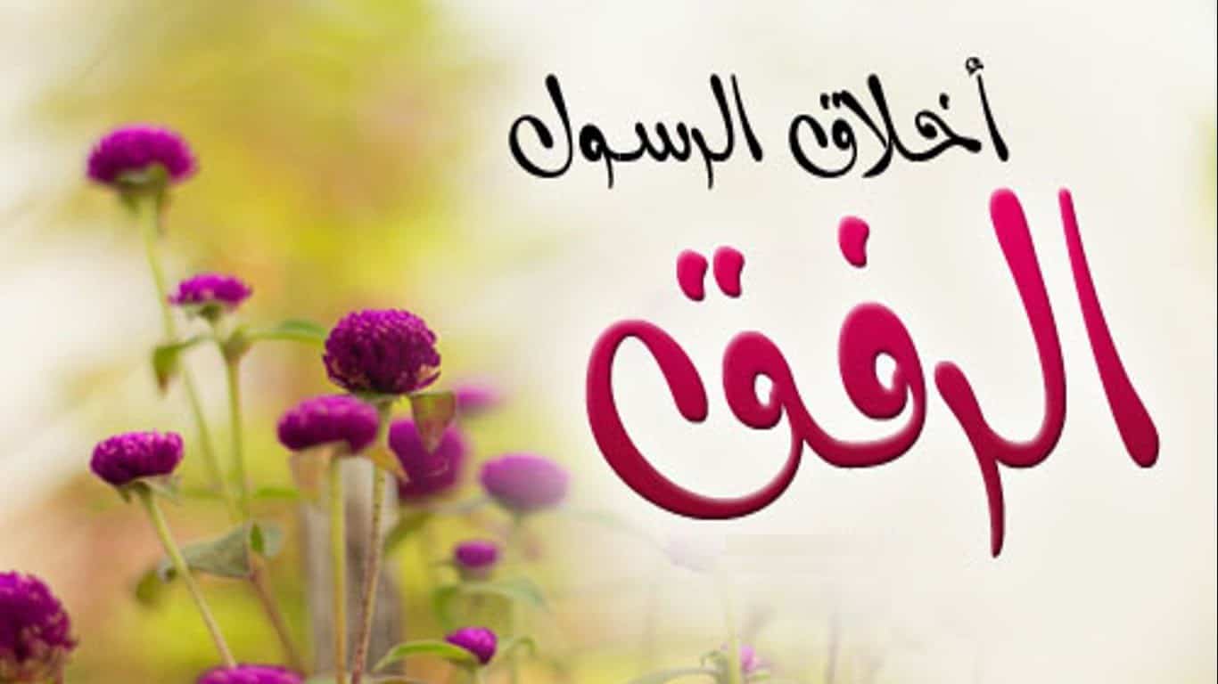 عبارات عن رفق 5433 12