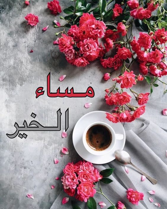 صور مساء الخ - مساء الخير علي عيونك 4283 2