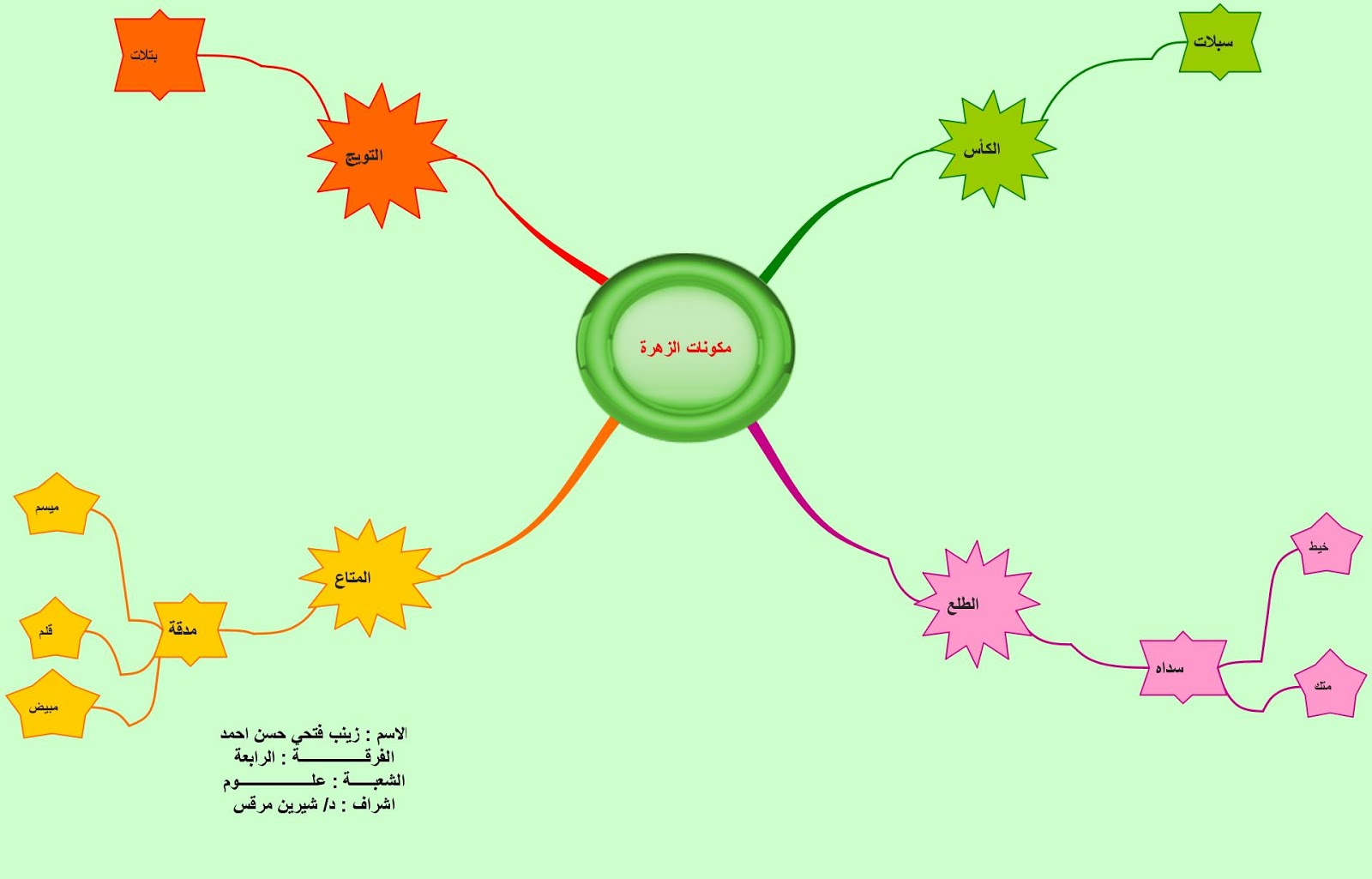 مكونات الزهرة بالصور - صور توضحية لمكونات الزهور 5941