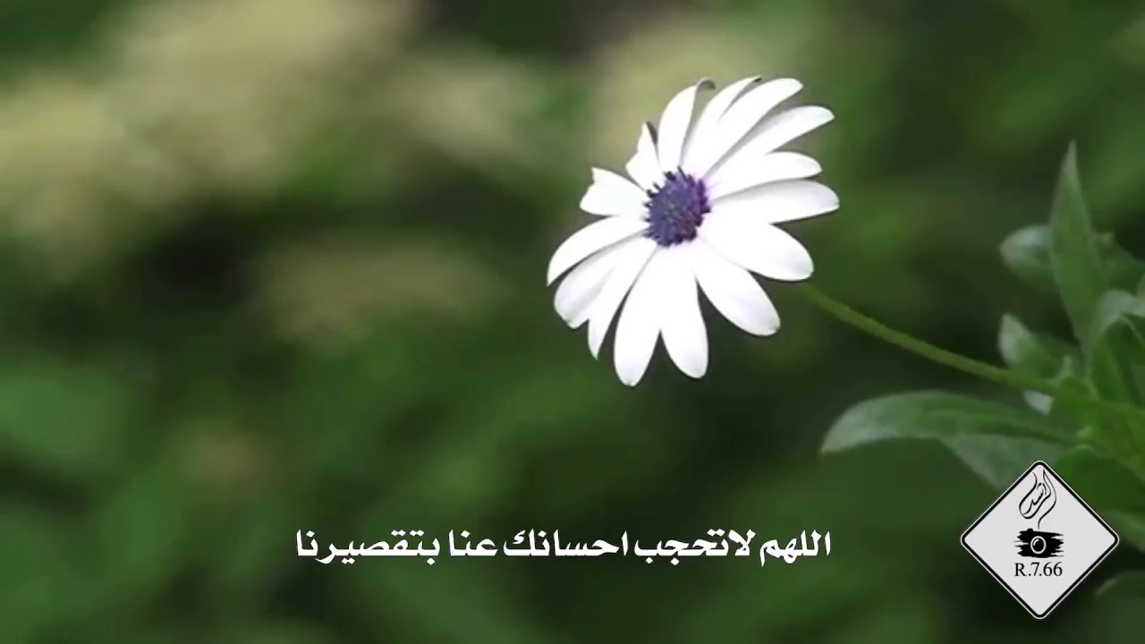 فضل الدعاء في اخر الليل ،دعاء اخر الليل قصير 5337 12