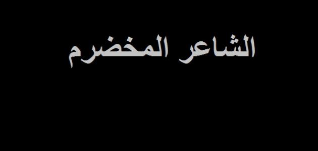 معنى كلمة مخضرم - شرح معنى مخضرم فى اللغة العربية 989