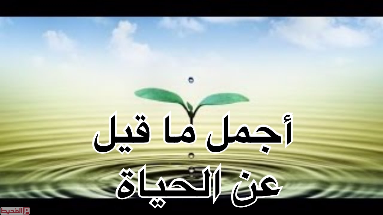 كلام عن الحياة والامل 5820 5