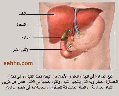 اسباب انتفاخ المرارة , ما لا تعرفه عن انتفاخ المرارة