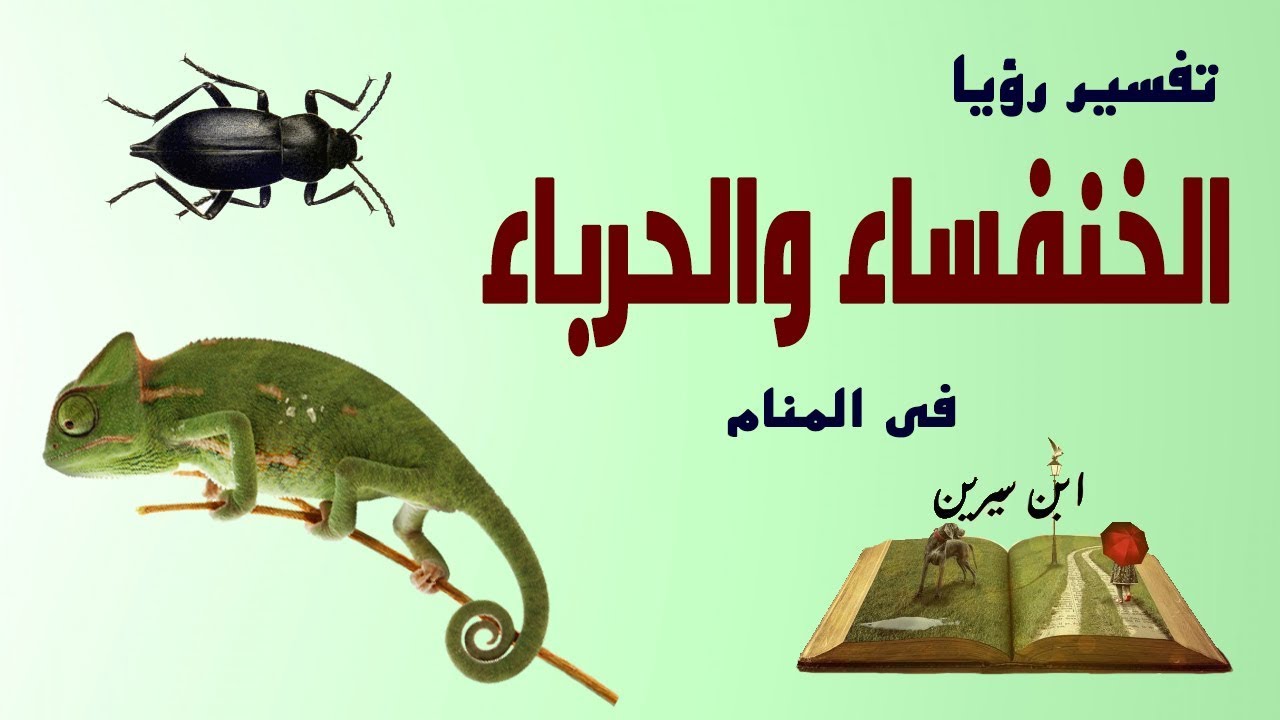 تفسير الحرباء في المنام - الحرباية في المنام خير ام شر- 164 2