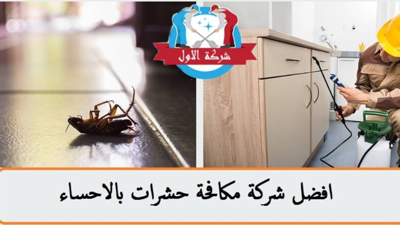 تخلص من الحشرات والفئران مع عروض شركاتنا المميزة، افضل شركة مكافحة حشرات وفئران 5847 1