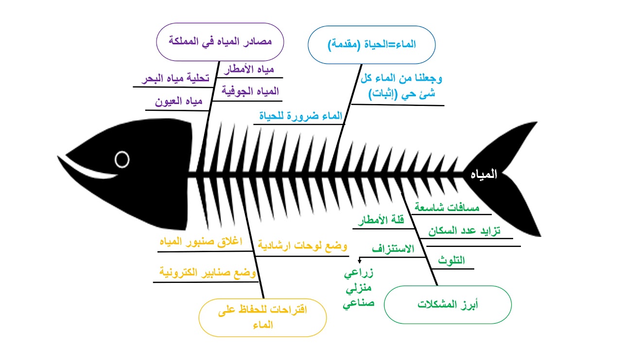 مخطط هيكل السمكة فارغ - حل المشكلة من جذورها 1669 4