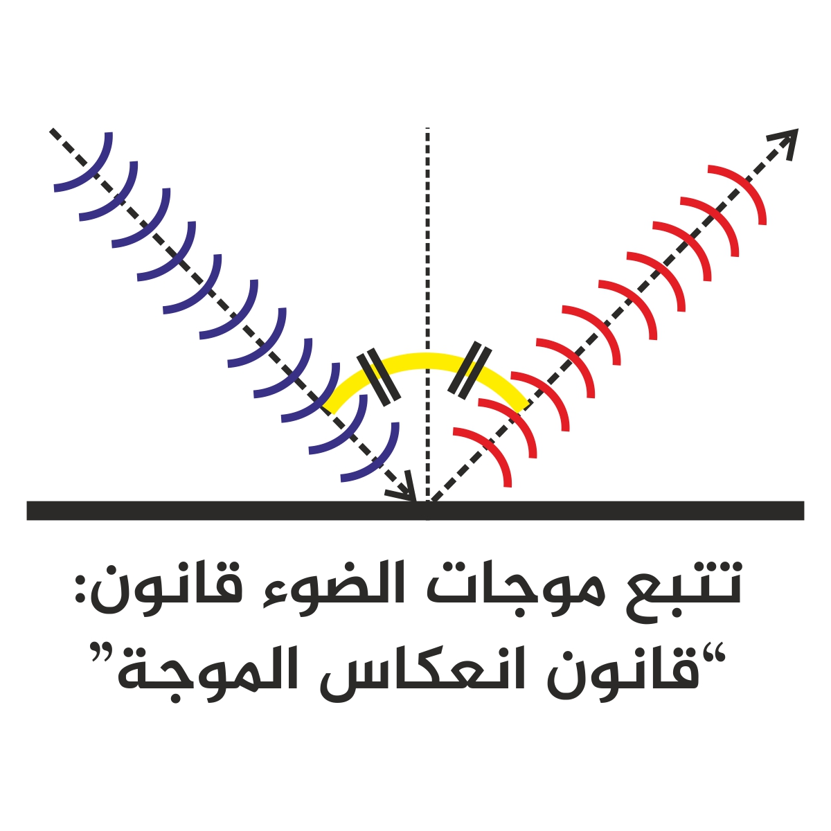 بحث عن الانعكاس - تعريف مبسط عن الانعكاس 3073 2