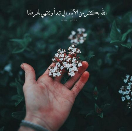 صور للواتس اب منوعه - رمزيات جميلة للواتس 5250 9