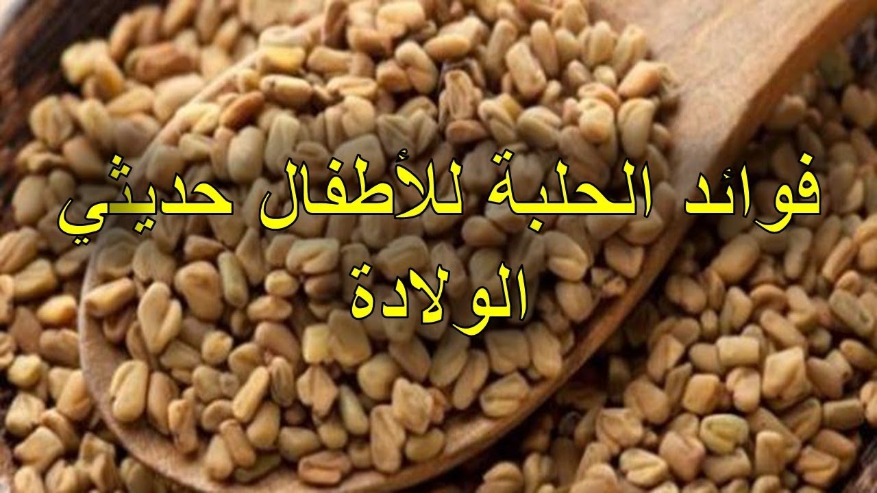 فوائد الحلبة للاطفال - الحلبة وفوائدها المتعدده لصحة الاطفال 513 1