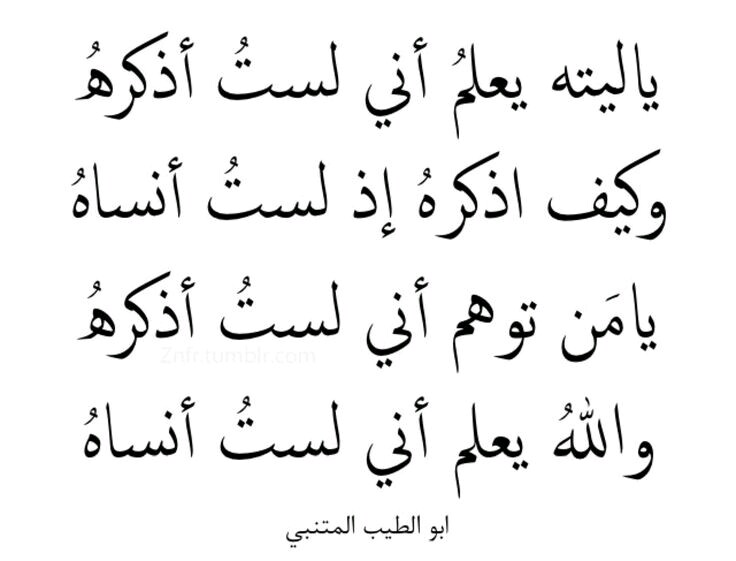 اجمل قصائد المتنبي - اروع اشعار قالها المتنبي جعلت منه شاعر عظيم 221 2