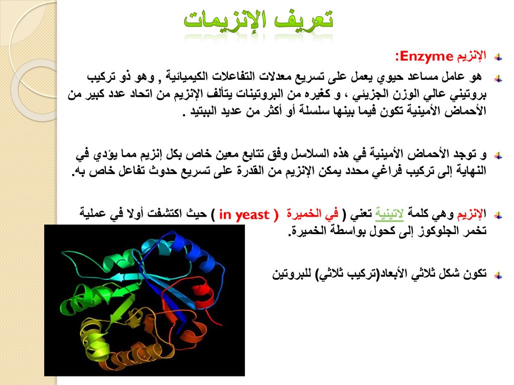 معلومات لا تعرفها عن الإنزيمات , بحث عن الانزيمات