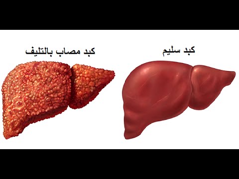 فوائد الكبد في جسم الانسان - اهمية الكبد في جسم الانسان 3658 2