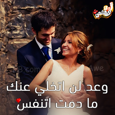 صور رومانسيه متنوعه - صور حب مميزة 4991 7