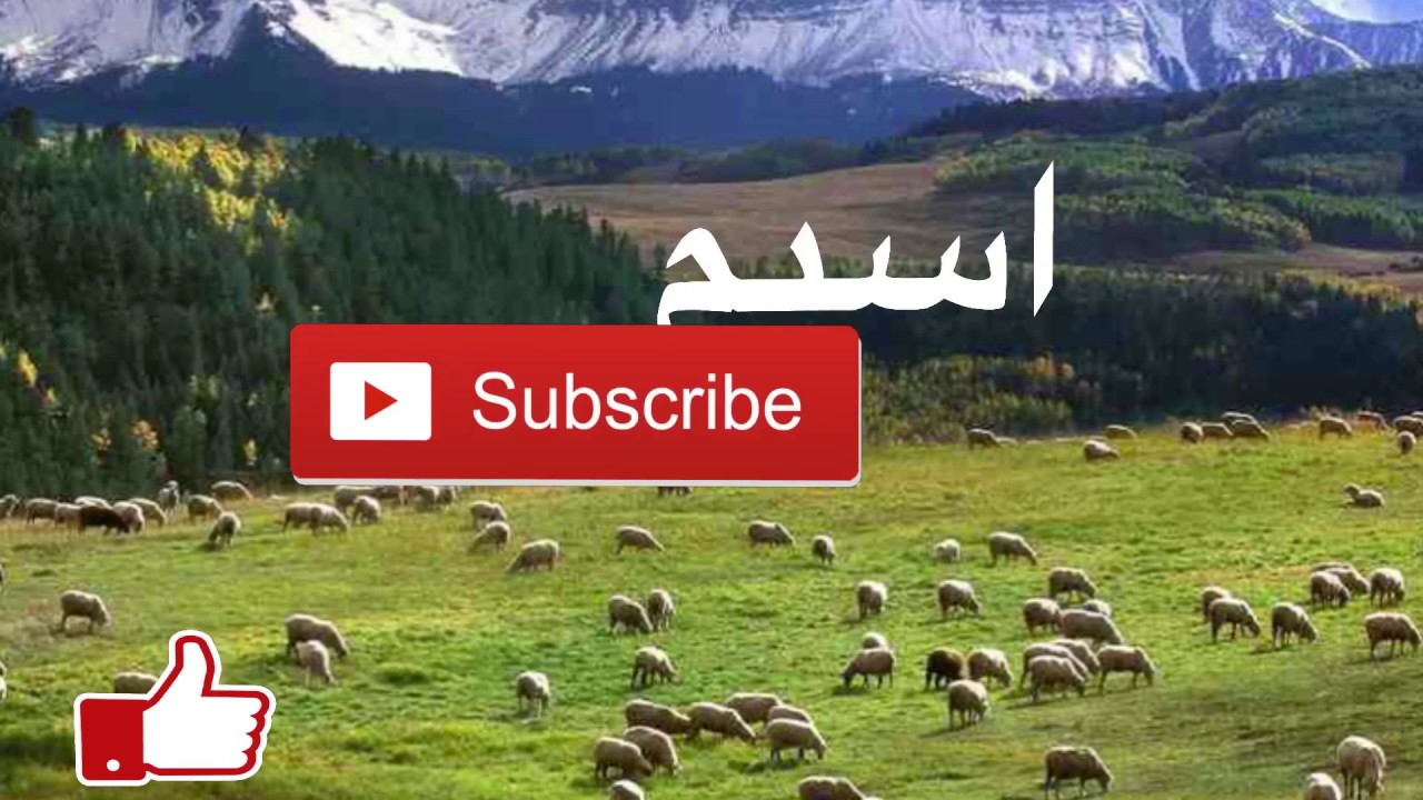 المقصود باسم اسيم وصفاته ،ما معنى اسم اسيم 5850