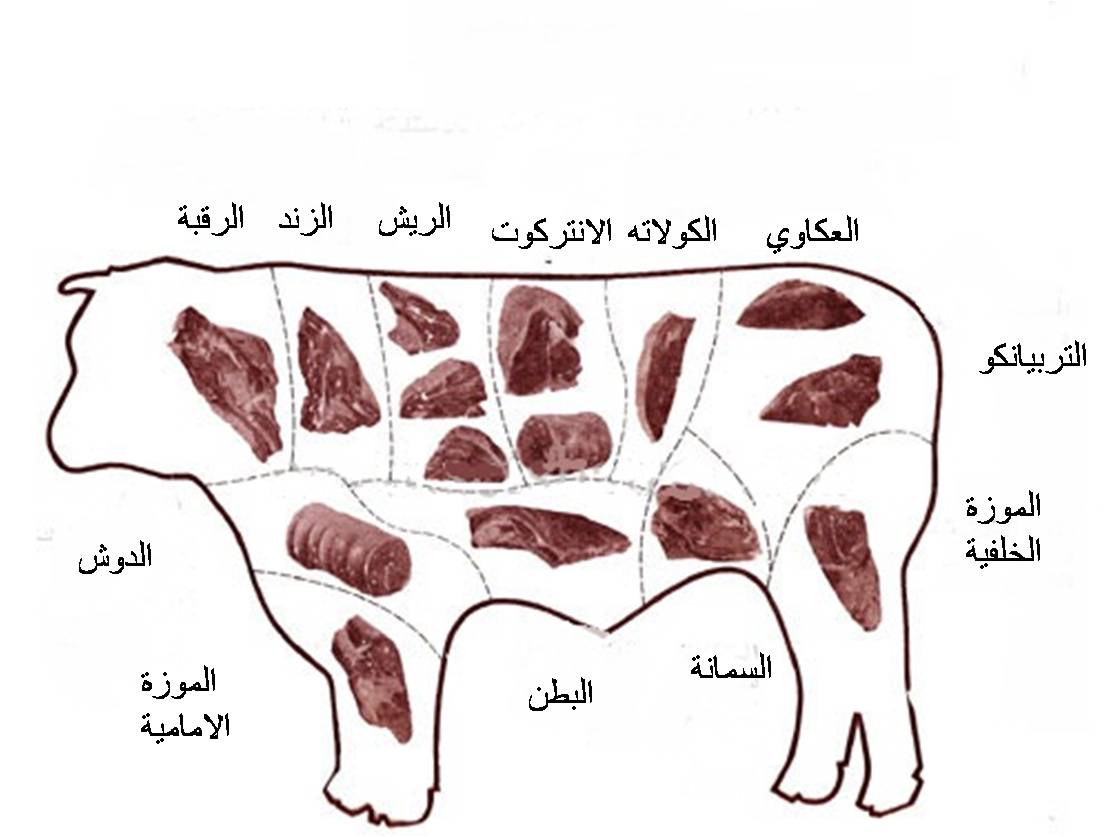 عرق التربيانكو بالصور - صور توضحية لقكعه اللحم تربيانكو 4672 9