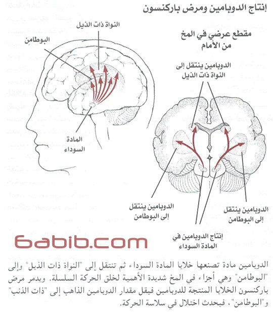 اعراض مرض باركنسون - اعراض واسباب مرض باركسون 1374