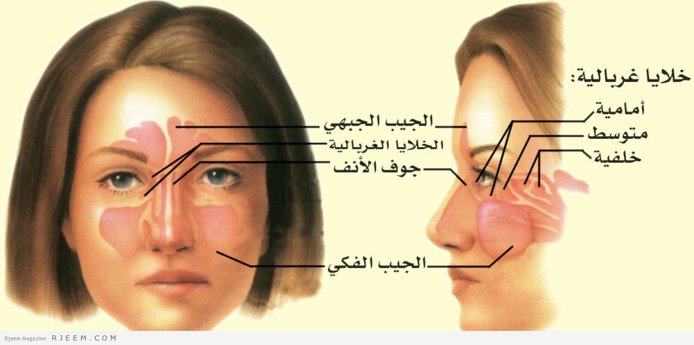 الام الراس الحادة - ماهى الاسباب الم الراس 6766 1