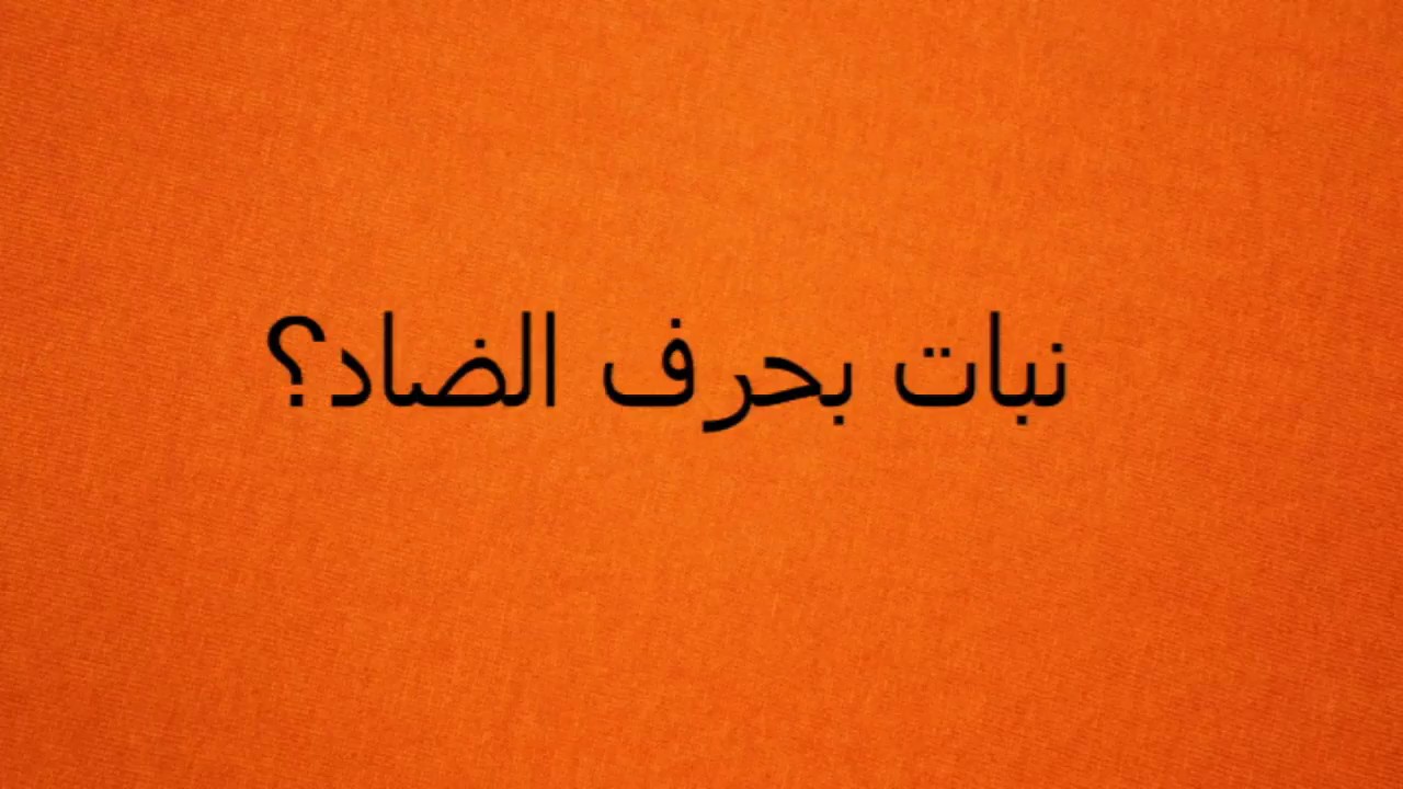 اسم نبات بحرف ض 5534 3