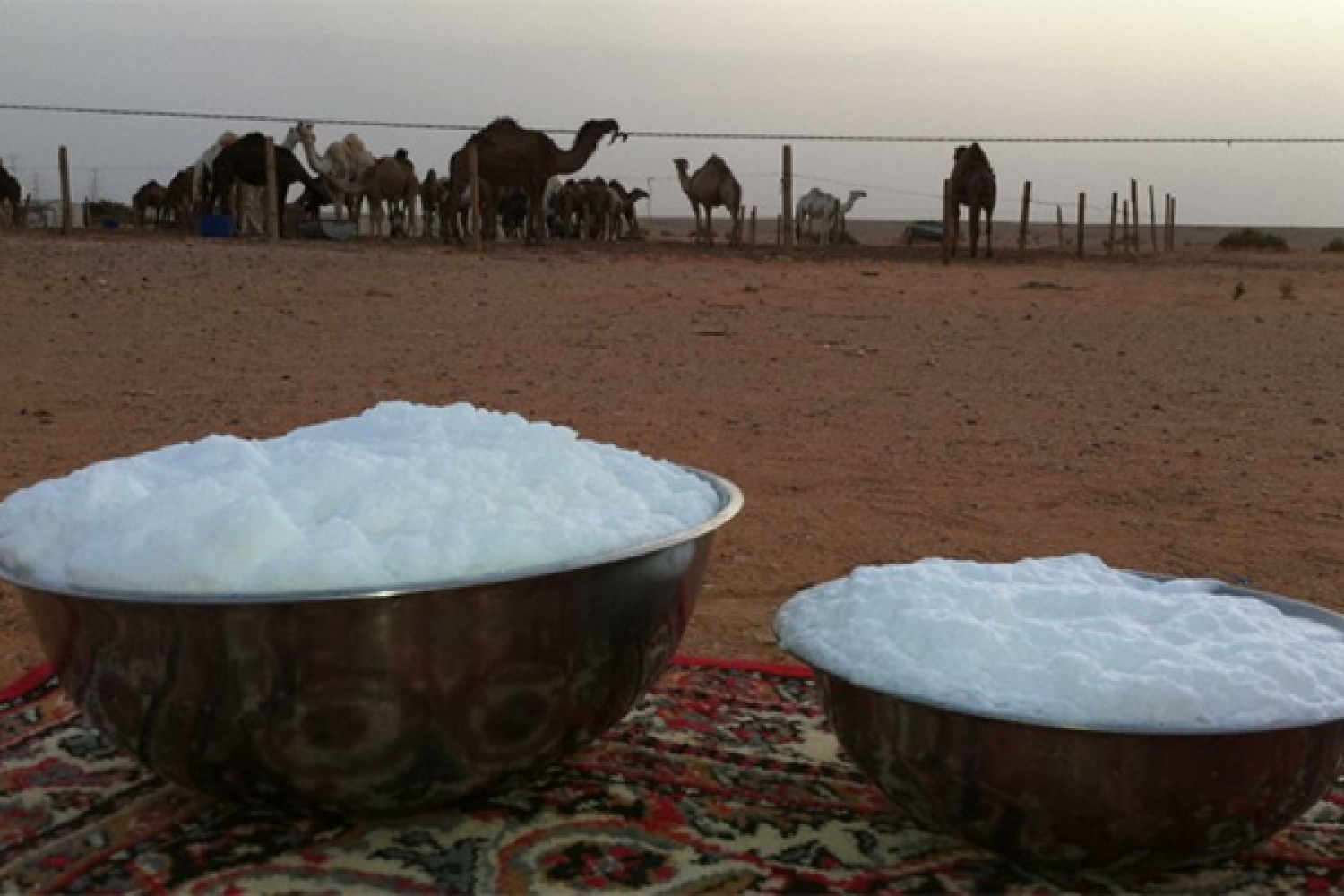 علاج الزلال في البول , كيفية السيطرة على أمراض البول المؤقت منها والمزمن